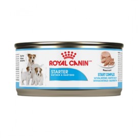 24 latas Royal Canin Starter Mother & Babydog Mousse 145 gr