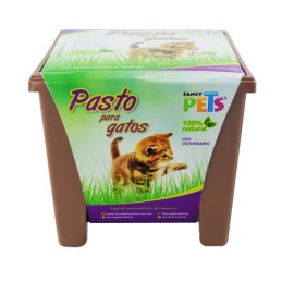 Fancy Pets Pasto para Gatos