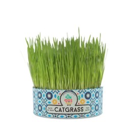 Un Dos Treats Catgrass Trigo