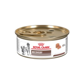 24 Latas Royal Canin Vet Perro y Gato Recovery 145 Gr.