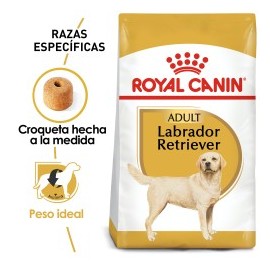 Royal Canin Perro Adulto Raza Labrador Retriever Croquetas 13.6 kg