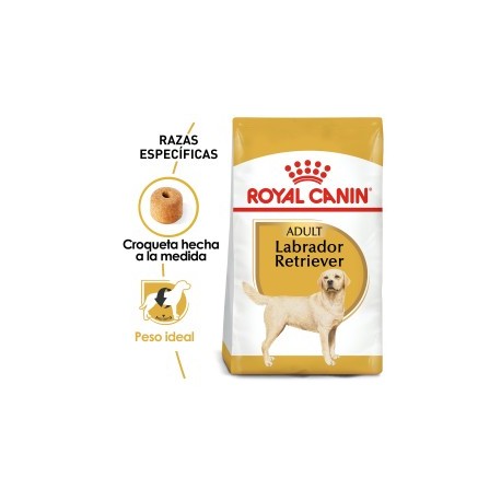 Royal Canin Perro Adulto Raza Labrador Retriever Croquetas 13.6 kg