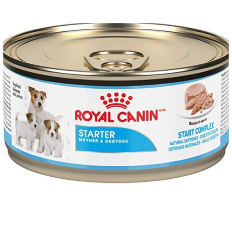 12 latas Royal Canin Starter Mother & Babydog Mousse 145 gr