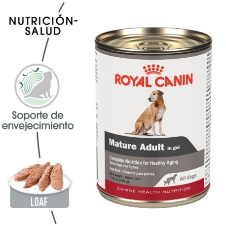 6 latas Royal Canin alimento húmedo para perro senior 385 g