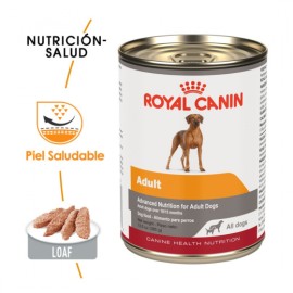 12 latas Royal Canin Wet All Dogs Adult 385 g