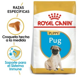 Royal Canin Pug Cachorro 1.1 kg